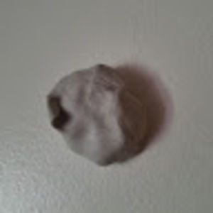 Meet your Posher, Rudy